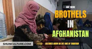 The Dark Underbelly of Afghanistan: Sex Trafficking and Brothels