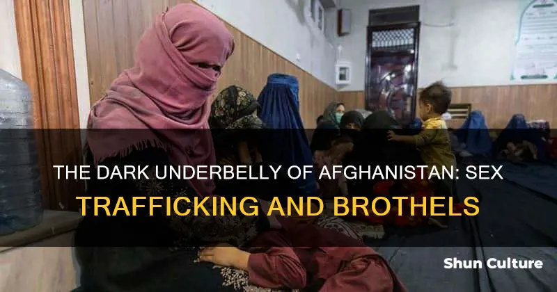 are there brothels in afghanistan