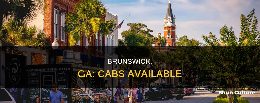 are there cabs in brunswick ga