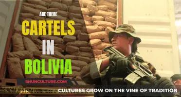 Cartels in Bolivia: A Complex Web of Power and Influence