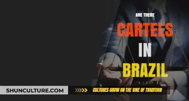 Unveiling Brazil's Dark Underworld: The Truth About Cartels' Presence