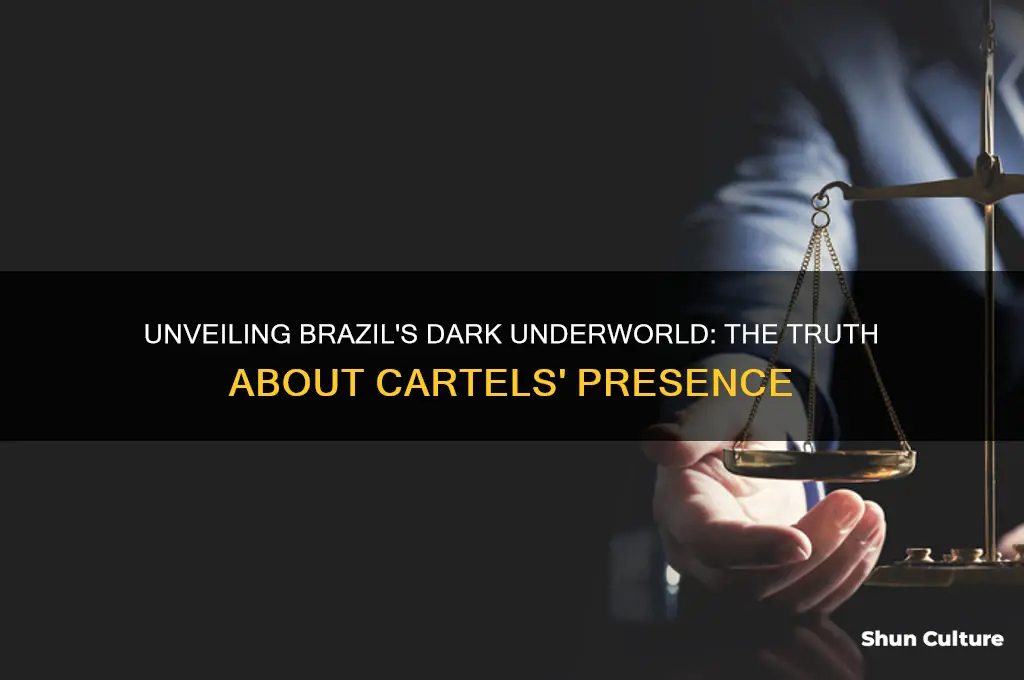are there cartels in brazil
