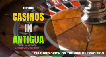 Exploring Antigua's Gaming Scene: Are There Casinos on the Island?