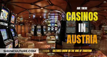 Gambling in Austria: Casino Culture and Legality