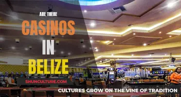 Belize's Casino Scene: What's the Gambling Landscape?