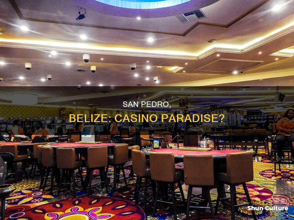 are there casinos in san pedro belize