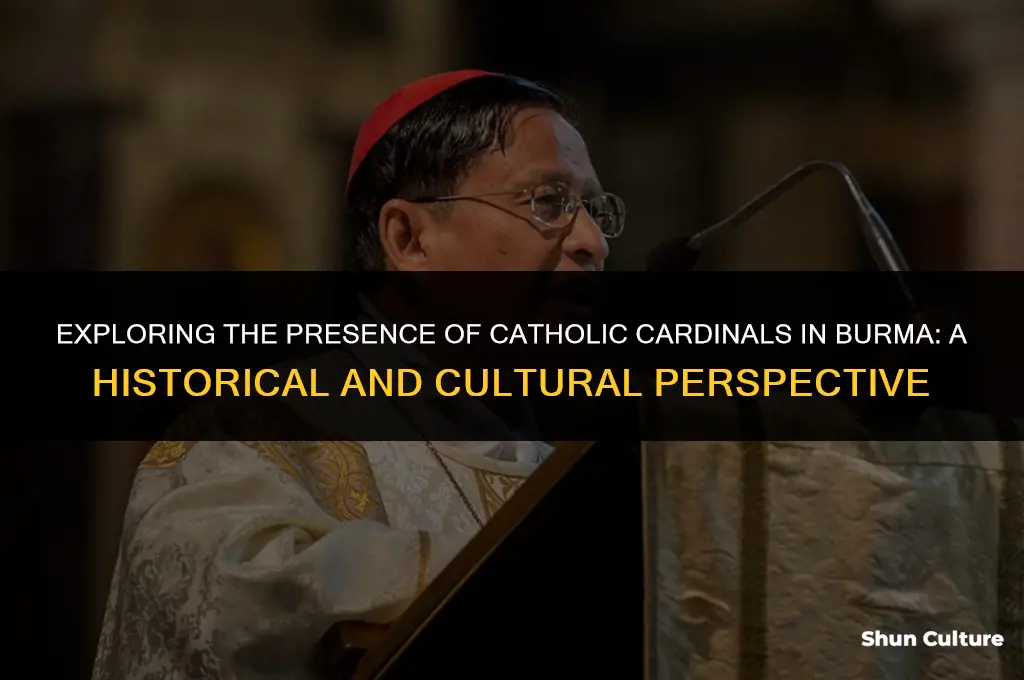 are there catholic cardenals in burma