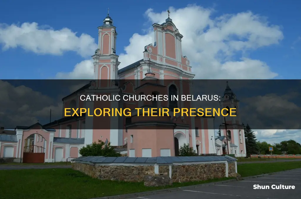 are there catholic churches in belarus