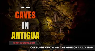 Exploring Antigua's Hidden Caves: Unveiling the Island's Underground Wonders