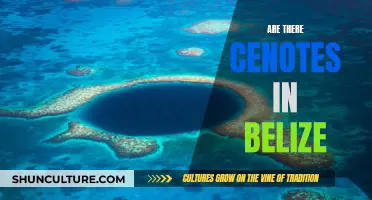 Belize's Cenotes: A Natural Wonder