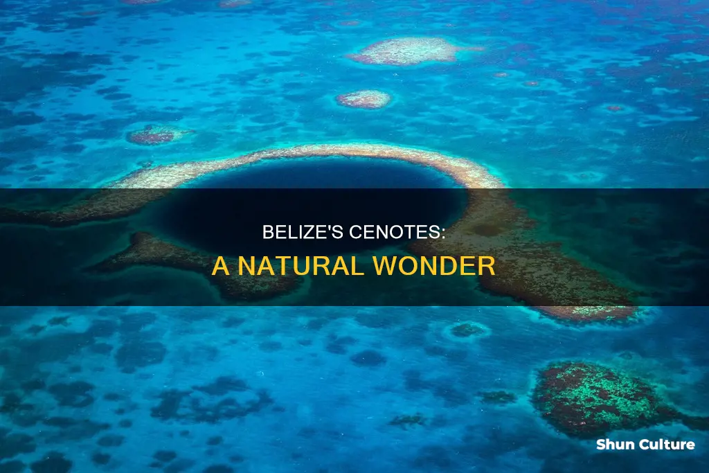 are there cenotes in belize