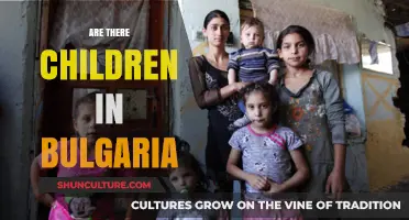 Exploring Bulgaria's Demographics: A Focus on Children and Youth