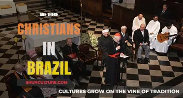 Exploring Brazil's Religious Diversity: Are There Christians in Brazil?