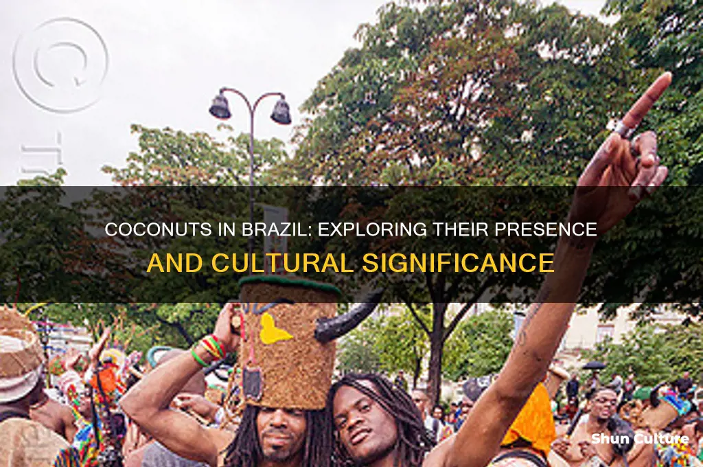 are there coconuts in brazil