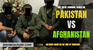 Criminal Underworld: Unraveling the Dark Web of Gangs in Pakistan and Afghanistan