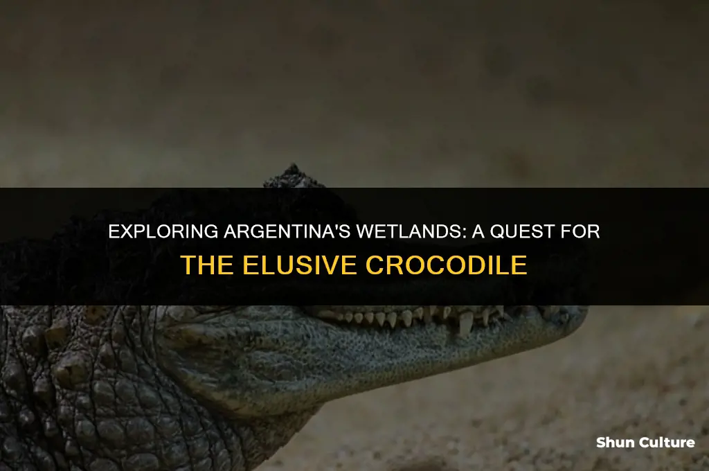 are there crocodiles in argentina