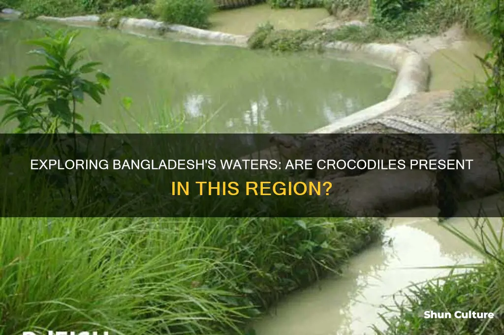 are there crocodiles in bangladesh
