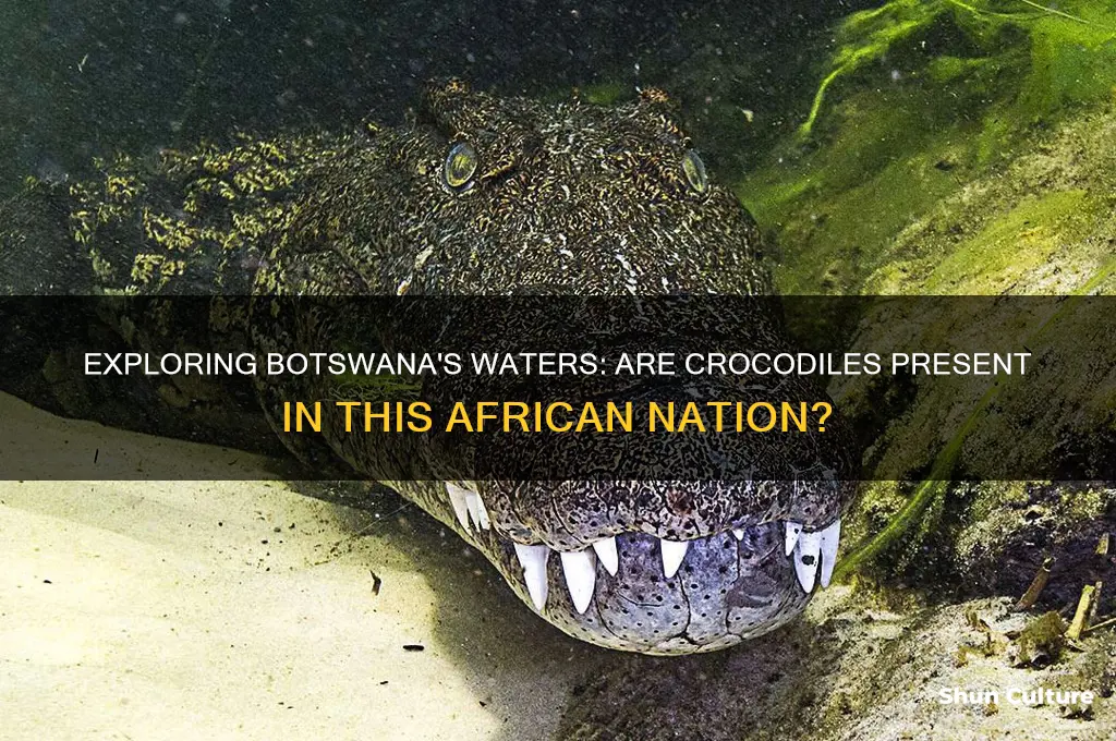 are there crocodiles in botswana
