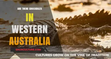 Exploring Western Australia: Crocodiles and More