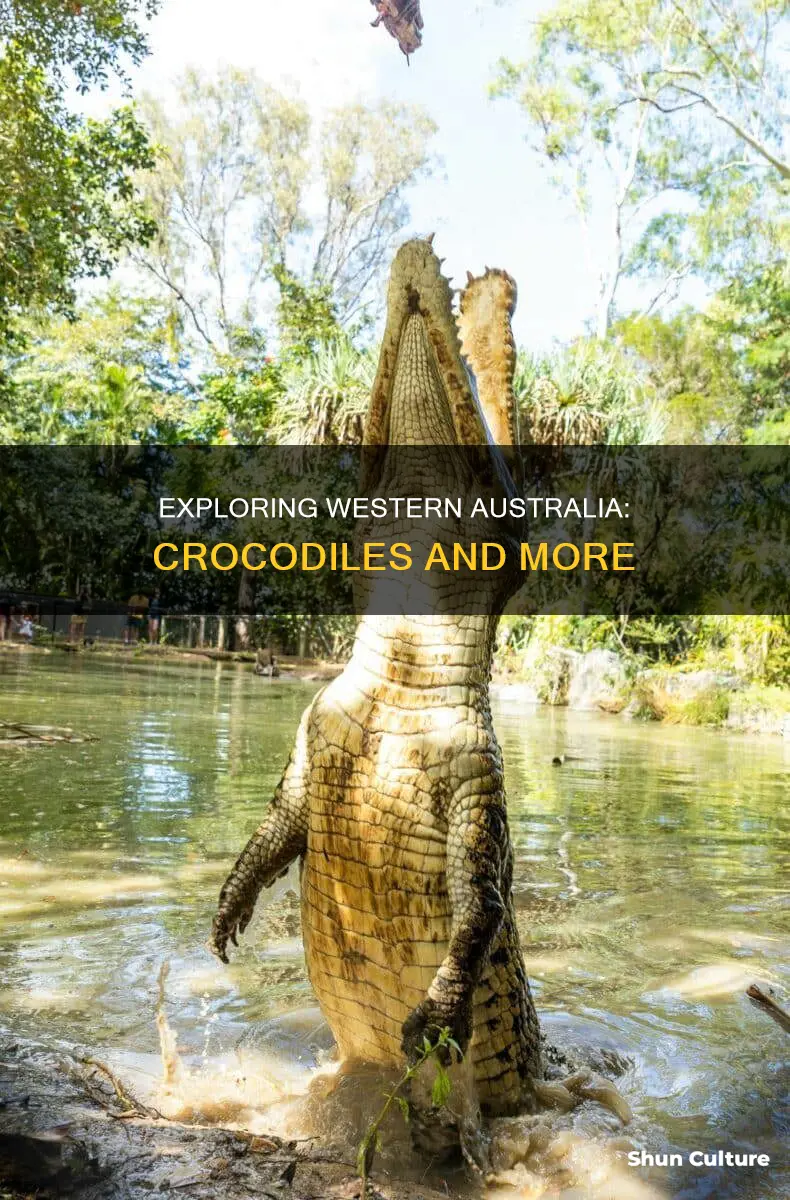 are there crocodiles in western australia