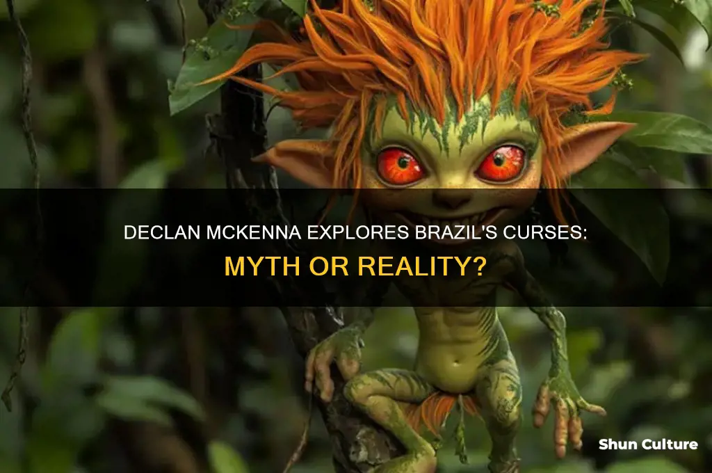are there curses is brazil by declan mckenna