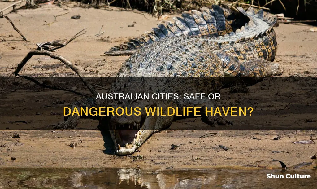 are there dangerous animals in australian cities