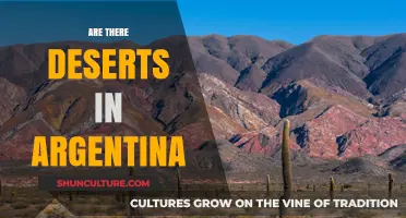 Exploring Argentina's Hidden Gems: Unveiling the Desert Landscapes