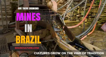 Exploring Brazil's Hidden Treasures: Are There Diamond Mines?