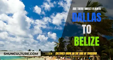 Direct Flights from Dallas to Belize: What You Need to Know