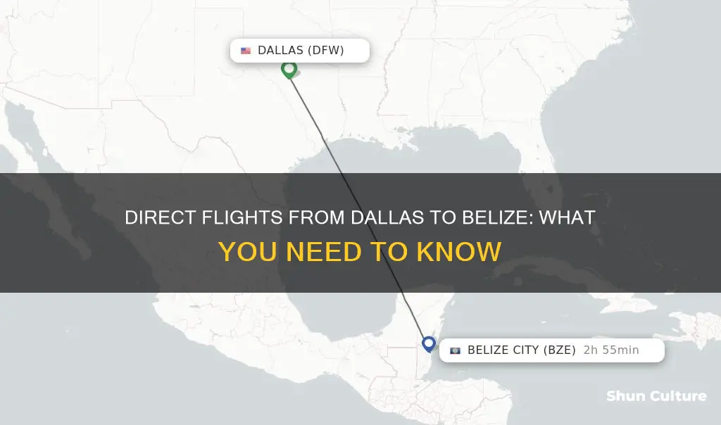 are there direct flights dallas to belize