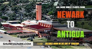 Direct Flights from Newark to Antigua: Your Travel Options Explained
