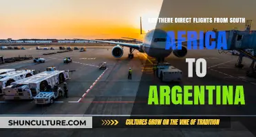 Exploring Direct Flight Options from South Africa to Argentina
