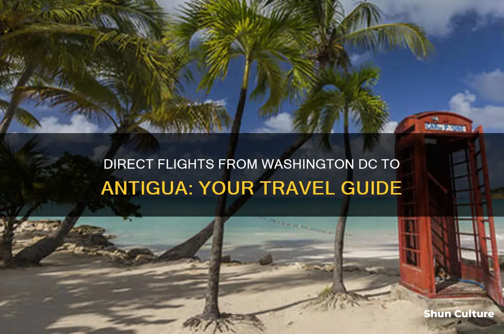 are there direct flights to antigua from washington dc