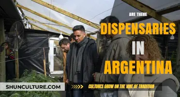 Exploring Cannabis Dispensaries in Argentina: A Comprehensive Guide