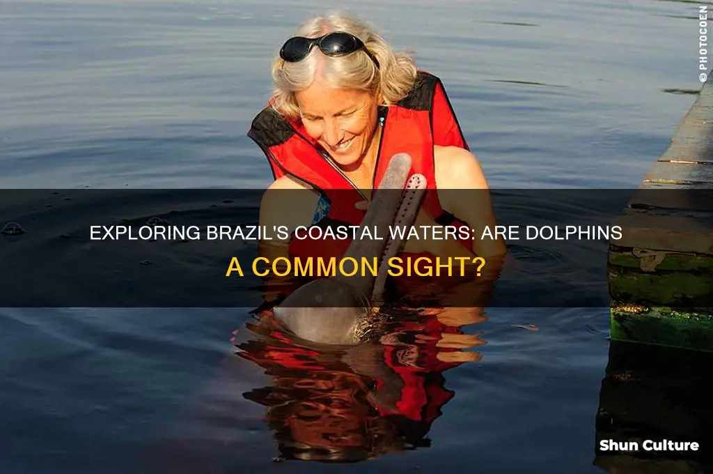are there dolphins in brazil