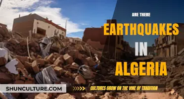 Earthquakes in Algeria: Frequency, Impact, and Preparedness Measures