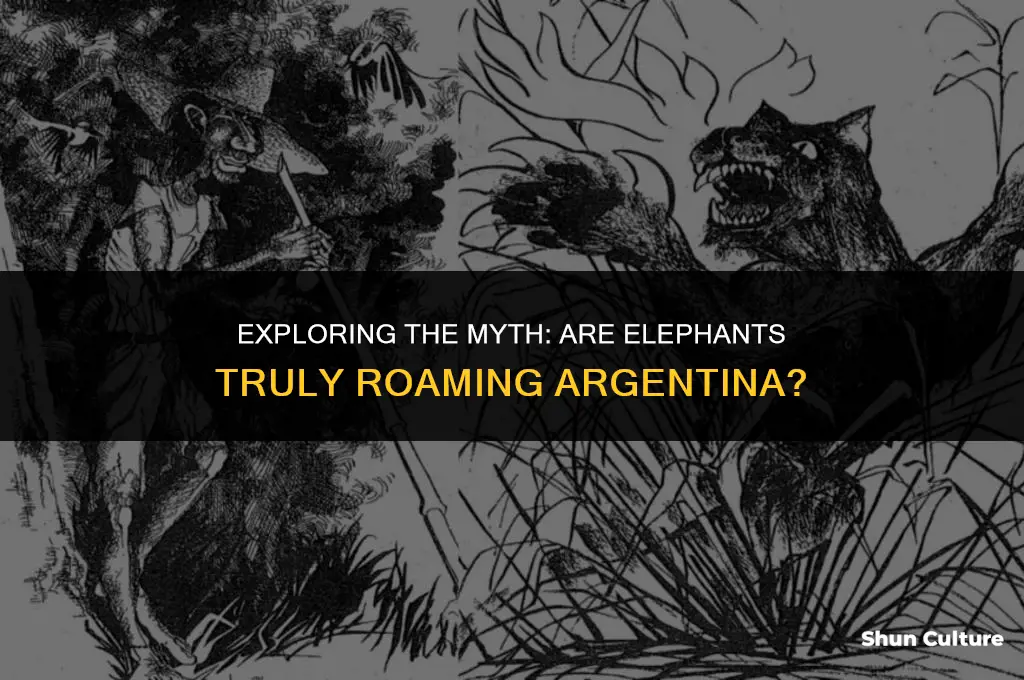 are there elephants in argentina