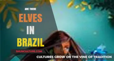 Exploring Brazil's Folklore: Are There Really Elves in the Rainforest?