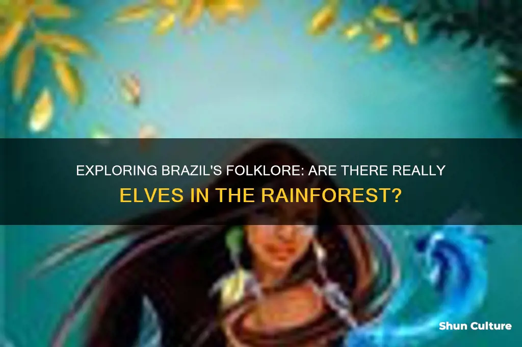 are there elves in brazil