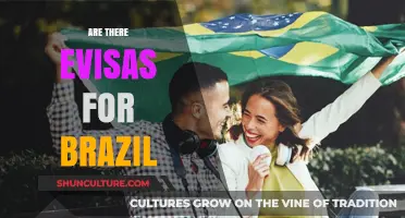 Exploring Brazil's E-Visa Options: A Comprehensive Guide for Travelers