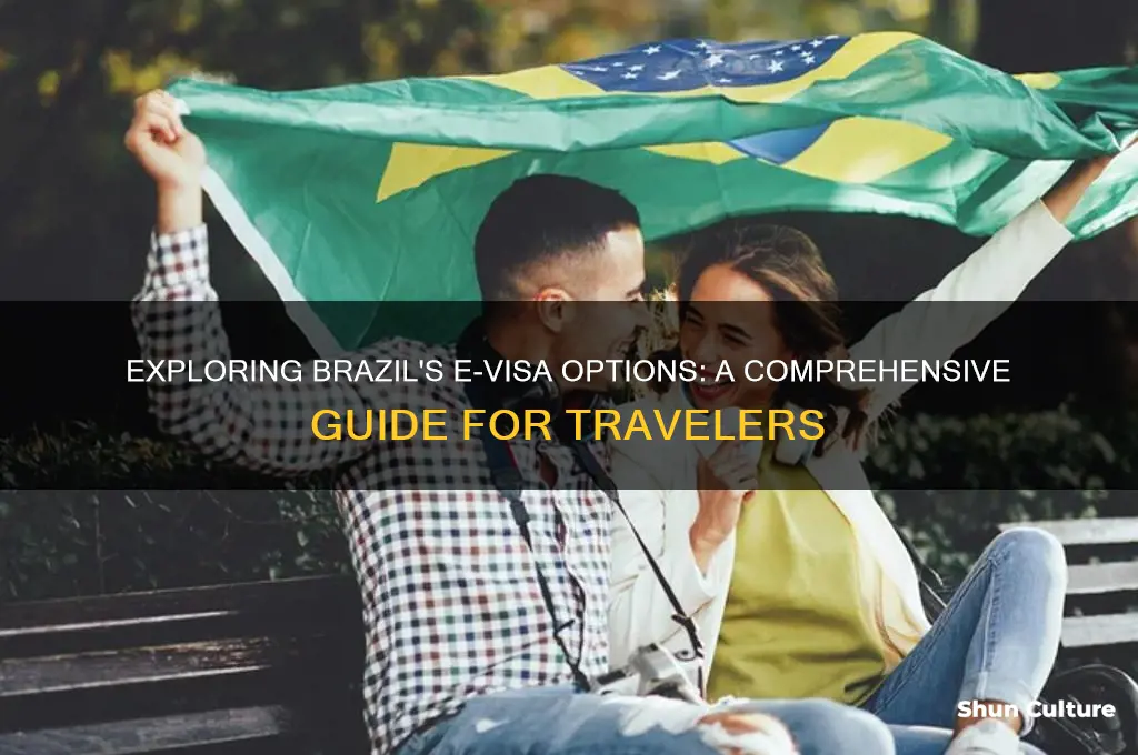 are there evisas for brazil
