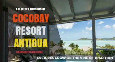 Exploring Cocobay Resort Antigua: Excursions and Activities to Enjoy
