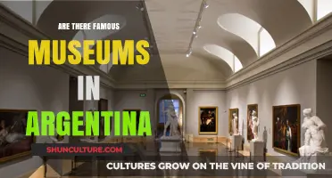 Exploring Argentina's Cultural Treasures: A Guide to Famous Museums