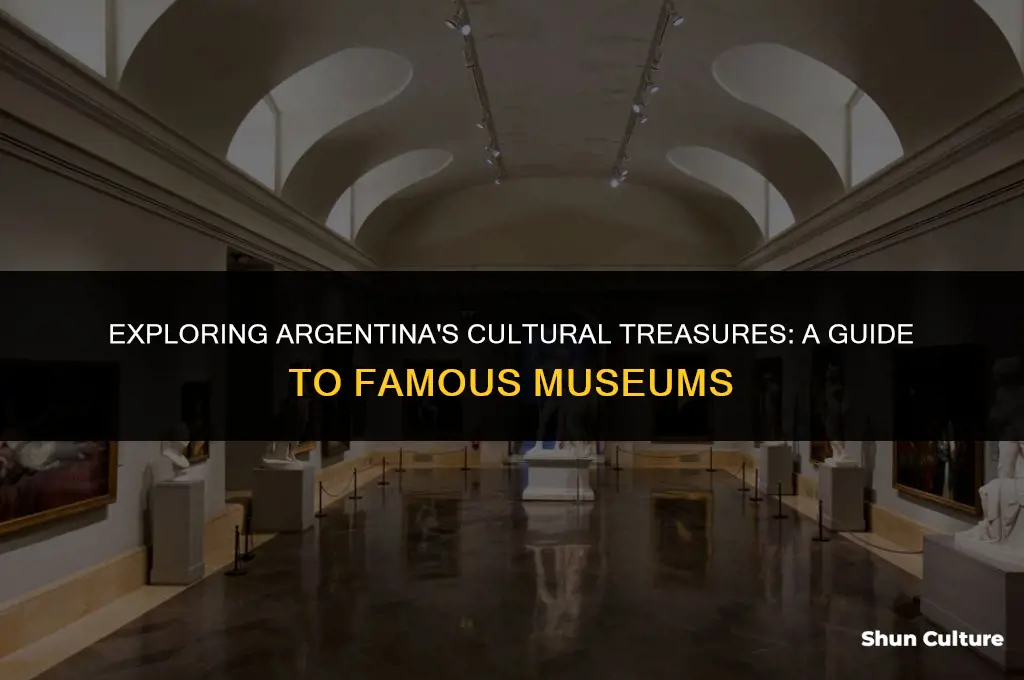 are there famous museums in argentina