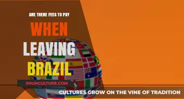 Leaving Brazil: Understanding Exit Fees and Travel Costs