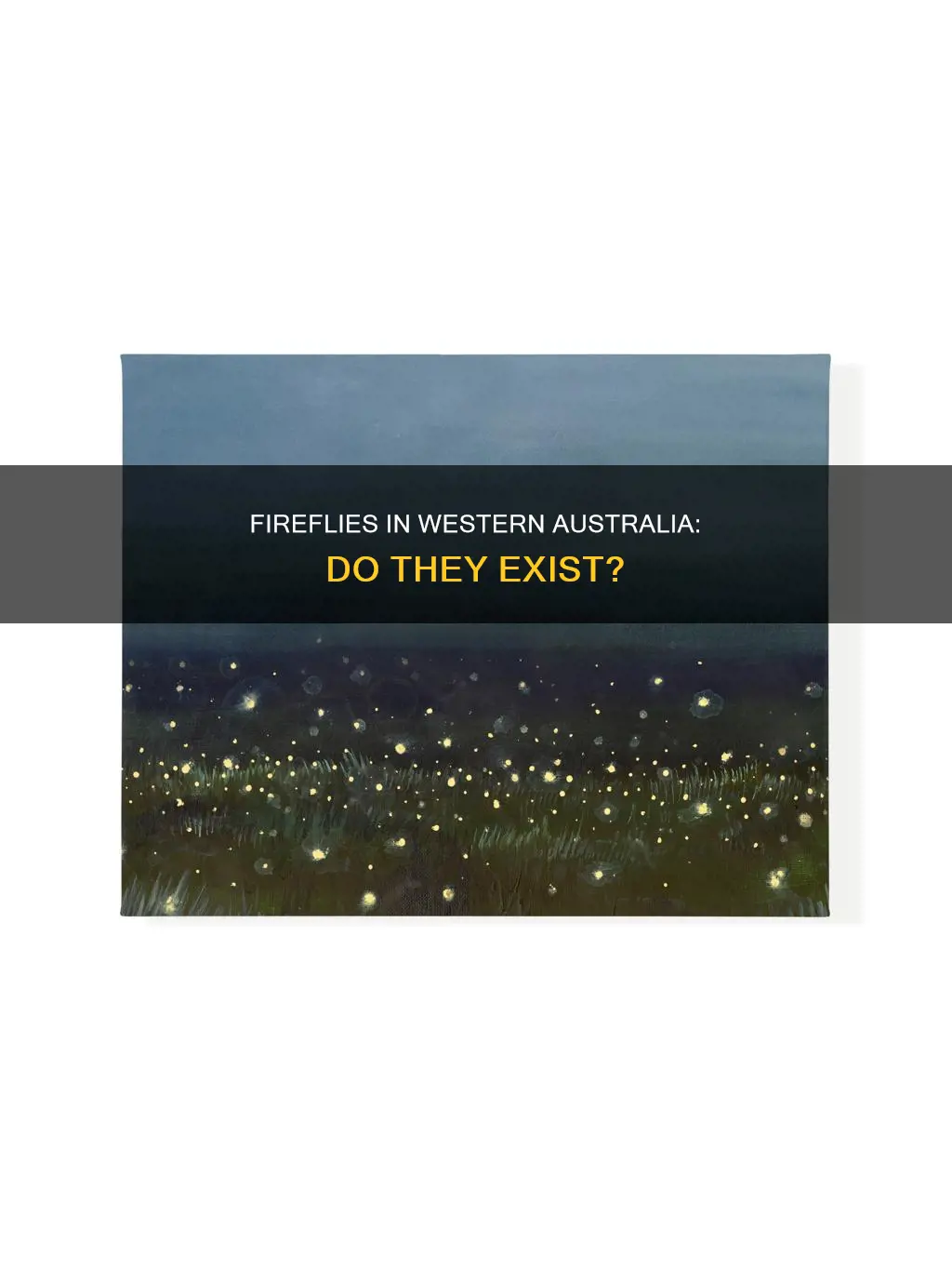 are there fireflies in western australia