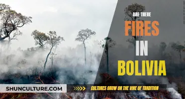 Bolivian Wildfires: Nature's Fury in South America