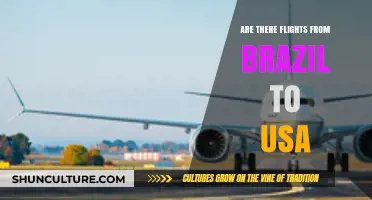 Brazil to USA Flights: Routes, Airlines, and Travel Tips