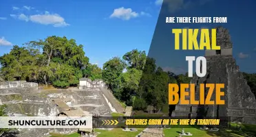 Flights from Tikal to Belize: Exploring Travel Options