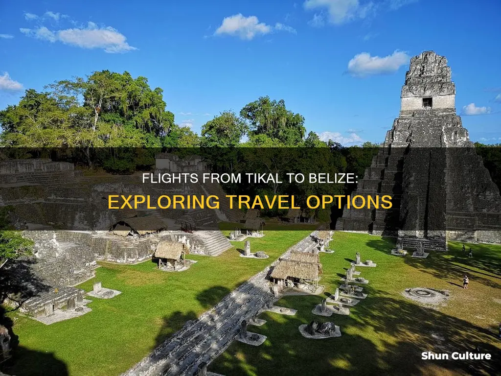 are there flights from tikal to belize